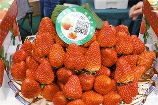 国产草莓在线,甜蜜滋味,绿色健康新选择 第2张 国产草莓在线,甜蜜滋味,绿色健康新选择 第2张