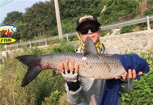 青鱼视频国产在线 第2张 青鱼视频国产在线 第2张