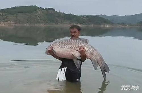 青鱼视频国产在线 第3张 青鱼视频国产在线 第3张